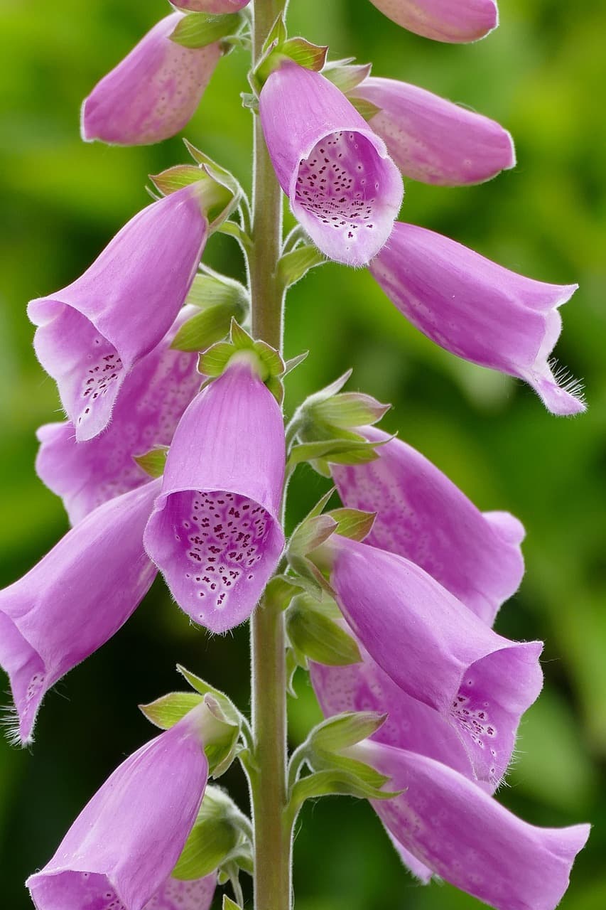 Best Practices for Using AI in Essay Revision